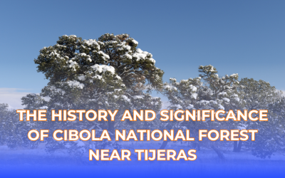 The History and Significance of Cibola National Forest Near Tijeras