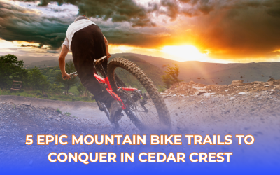 5 Epic Mountain Bike Trails to Conquer in Cedar Crest