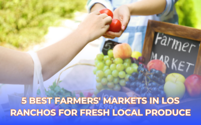5 Best Farmers’ Markets in Los Ranchos for Fresh Local Produce