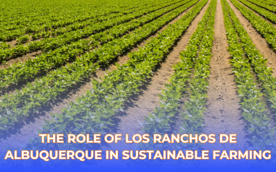 The Role of Los Ranchos de Albuquerque in Sustainable Farming